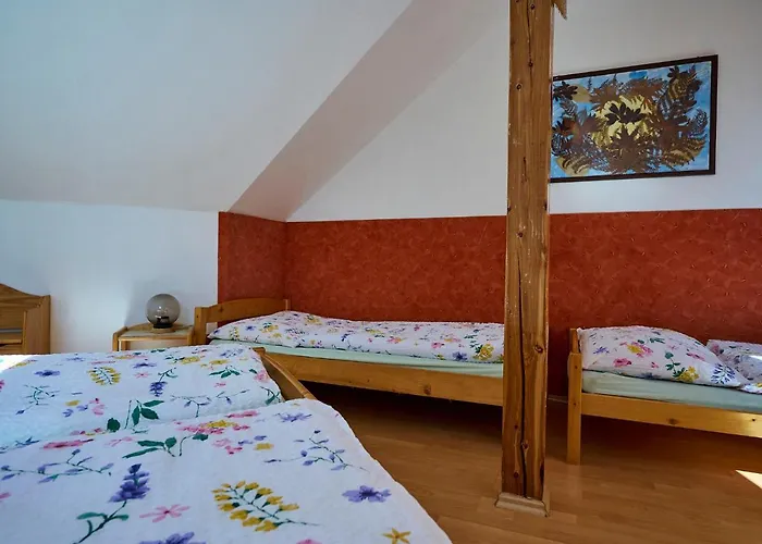 497-1 By Interhome * Harrachov